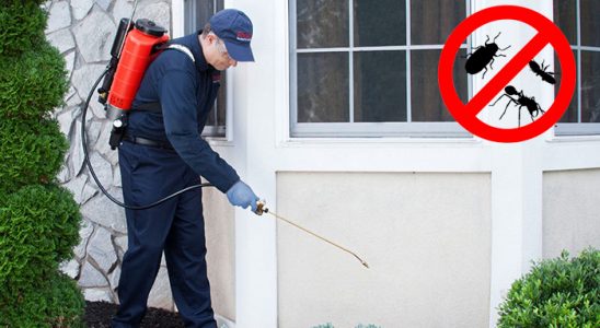 Abana Böcek İlaçlama böcek ilaçlama ve haşere kontrolü — ilaclama-tr.com